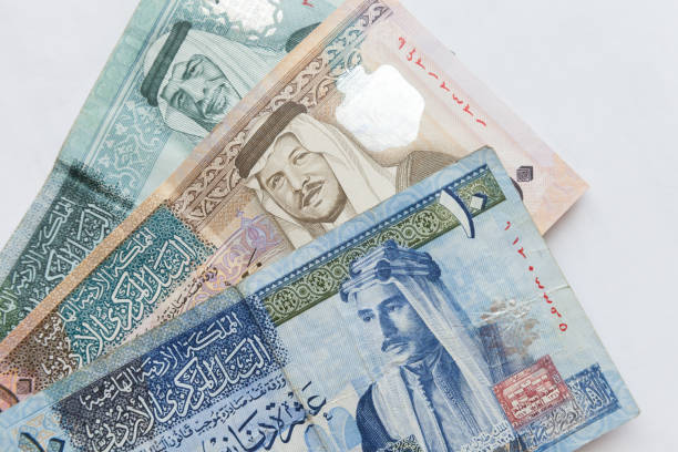 الضمان: تأمين رواتب تقاعدية للأردنيين المغتربين ضرورة وطنية